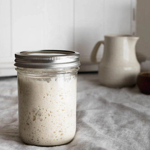 Sourdough Starter 101